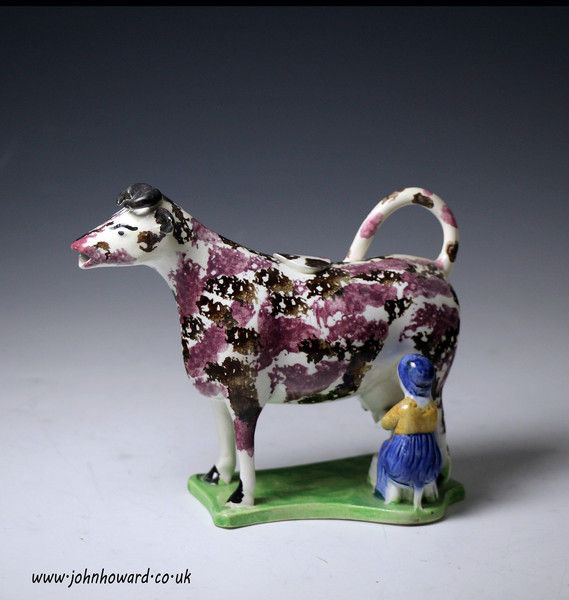 Antique English pottery cow creamer with hobbled legs early 19th century