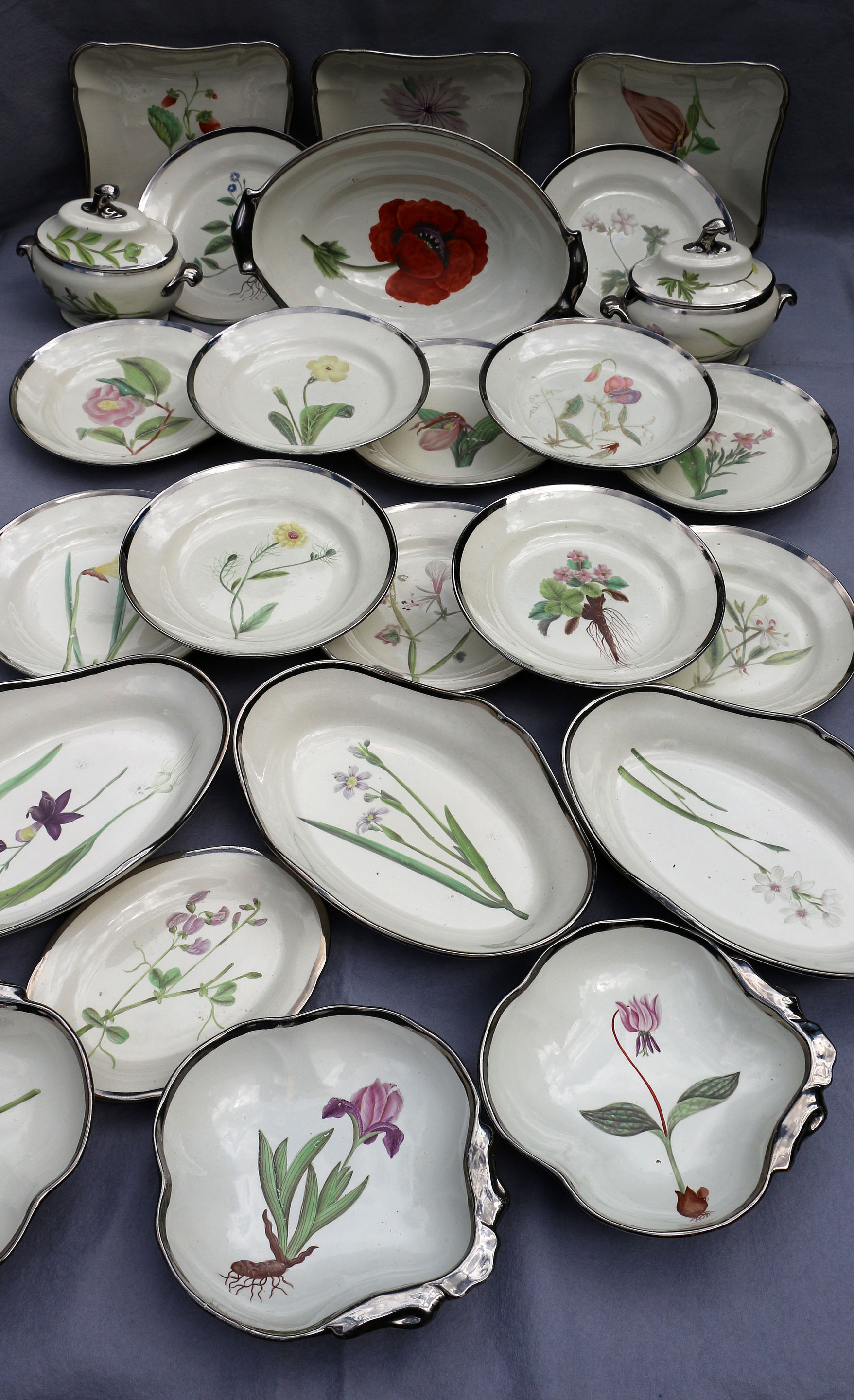 Antique Swansea Pottery botanical dessert 25 piece service with silver luster borders and hand decorated early 19th century Wales